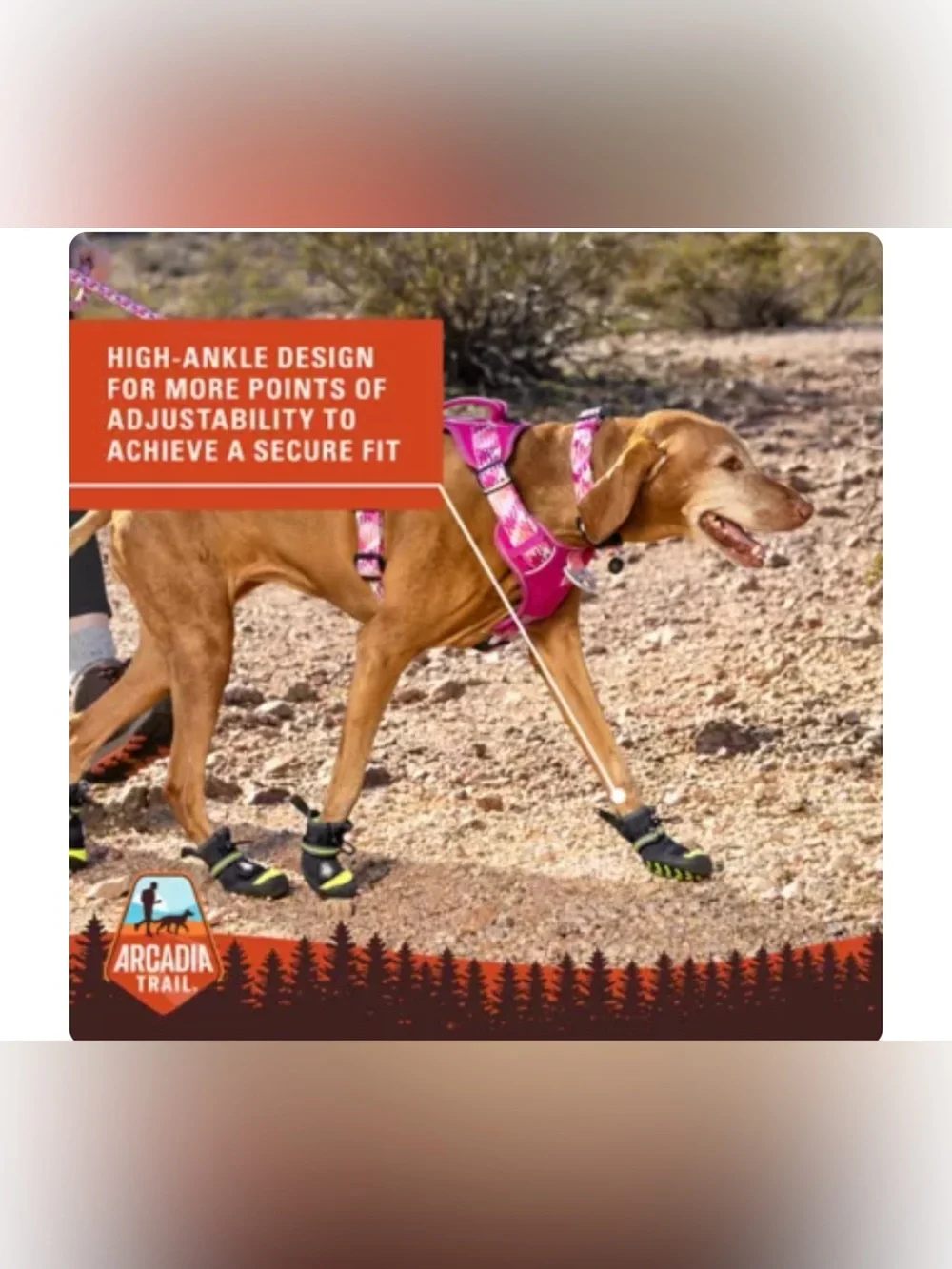 Arcadia Trail™ Year-Round All-Terrain Dog Booties